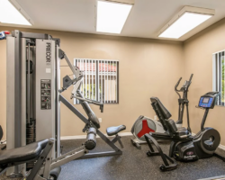 1100x1100_Fitness_Room(2)